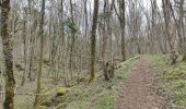 Tocht Stappen Arcenant - Sentiers patrimoine et Marianne : Arcennant - Photo 17