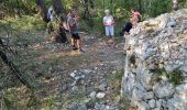 Trail Walking Seillans - z seillans 03-10-23 - Photo 1