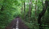 Trail Walking Bassenge - Oupeye - Photo 4