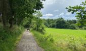 Tour Wandern Neufchâteau - Bois d’Ospau - Photo 6