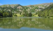 Excursión Senderismo Orbey - Circuit des 2 lacs : lac du Forlet et lac Vert - Photo 11