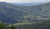 Trail Walking Hyères - N3 1er Borrels - Photo 9