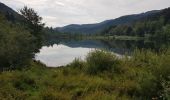 Trail Walking Sewen - Sewen - Lac d'Alfeld - Ferme auberge du Baerenbach - Photo 9