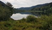 Randonnée Marche Sewen - Sewen - Lac d'Alfeld - Ferme auberge du Baerenbach - Photo 9