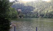 Randonnée Marche La Bresse - Kastelberg des pierres, des lacs, des panoramas magnifiques  - Photo 6