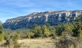 Randonnée  Plan-d'Aups-Sainte-Baume - Rando Chantal  - Photo 1