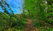 Trail Walking Houyet - Balade autour du Château de Vêves - Celles - Photo 14