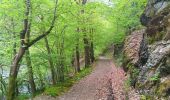 Trail Walking Stoumont - stoumont :  aller via corniche , retour via amblève - Photo 9