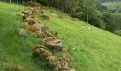 Trail Walking Cornimont - Autour de la ferme - Photo 1