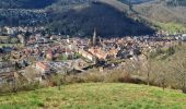 Trail Walking Vieux-Thann - Rando Marcheurs..27/03/2025.. - Photo 9