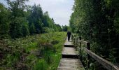Tocht Stappen Gedinne - Balade dans les Fanges de l'Abîme - Gedinne - Photo 14