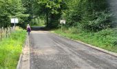 Randonnée Marche Paliseul - Boucle bois Neuvi, la grotte de Nollevaux, La Plaide - Photo 5