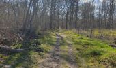 Trail Walking Asnières-sur-Oise - randonnée en forêt de bâillon et campagne - Photo 5