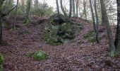 Excursión A pie Neukirchen bei Sulzbach-Rosenberg - Rundwanderweg No.5 Neunkirchen - Photo 5