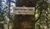 Trail Walking Rochesson - ROCHESSON ... sur les hateurs.  - Photo 7