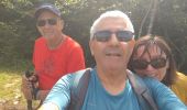 Trail Walking Saint-Paul - signal - Photo 1