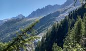 Excursión Senderismo Chamonix-Mont-Blanc - Chalet des Pyramides 1895m 11.7.22 - Photo 18