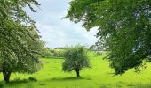 Randonnée Marche Anthisnes - La Rock . bois de Comblain . Sparmont - Photo 6