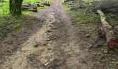 Tocht Stappen Les Granges-le-Roi - Forêt domaniale de Dourdan  - Photo 2