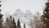 Randonnée A pied Cortina d'Ampezzo - (SI B05) Albergo Rifugio Ospitale - Misurina - Photo 7