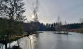 Tour Wandern Libramont-Chevigny - rando laneuville(libramont)18/02/2021 - Photo 20