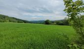 Trail Walking Vresse-sur-Semois - rando 20 -05-2024 laforêt - Photo 11