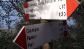 Randonnée A pied Brenzone sul Garda - Percorsi tra il bosco e gli ulivi - Photo 7