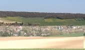 Tour Wandern Vauchassis - 05 Avril 2020 - Photo 5