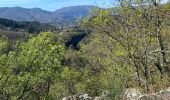 Tour Wandern Fabras - Fabras Jaujac les orgues basaltiques  - Photo 18