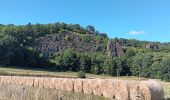 Randonnée Marche Comblain-au-Pont - pont sçay - comblain-au-pont / versant sud - retour versant nord - Photo 10