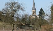 Tour Zu Fuß Rudolstadt - Rundwanderweg 3 - Photo 6