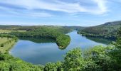 Trail Walking Esch-sur-Sûre - Promenade au lac de la Haute-Sûre   - Photo 15