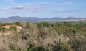 Excursión Senderismo Roquebrune-sur-Argens - z les bois de Roquebrune 20-11-18 - Photo 2