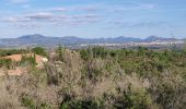 Tour Wandern Roquebrune-sur-Argens - z les bois de Roquebrune 20-11-18 - Photo 2