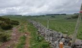 Tour Wandern Marchastel - [06] Compostelle : de Marchastel / Nasbinals à Saint-Chély-d'Aubrac - Photo 9