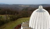 Tour Zu Fuß Hofheim am Taunus - Domherrnwald: Lindenblatt - Photo 6