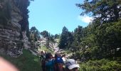 Randonnée Marche Entremont-le-Vieux - Croix de l Alpe Le Pinet  - Photo 15