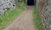 Trail Walking Montmeyan - les basses gorges de quinson - Photo 17