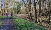 Trail Walking Chaumont-Gistoux - #240301 - Ocquière - Photo 10