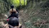 Trail Horseback riding Vigy - 2024-07-18_100557.gpx - Photo 9