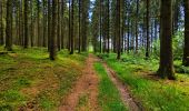 Tour Wandern Libramont-Chevigny - Balade à Remagne - Libramont-Chevigny - Photo 11
