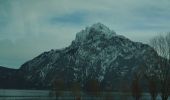 Tour Zu Fuß Traunkirchen - Buchberg - Mühlbachberg - Zellerlweg - Traunkirchen Ort - Photo 1