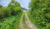 Trail Walking Andenne - Maizeret 120424  - Photo 1
