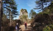 Tocht Stappen Saint-Étienne-de-Gourgas - Forêt de Parlatges - Roc de l'Eglise - Photo 15