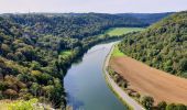 Tour Wandern Dinant - Anseremme - Freyr - Walzin - Photo 10