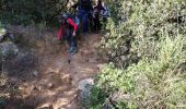 Trail Walking Le Pradet - La Colle Noire - Photo 5