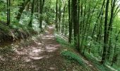 Trail Walking Arbois - Roche du Feu Arbois - Photo 4
