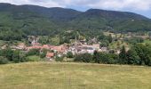 Excursión Senderismo Steige - Steige - Au Blanc Noyer - Photo 1