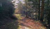 Trail Walking Séchilienne - Lac de Luitel - Pic de l'oeilly  - Photo 12