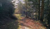 Tocht Stappen Séchilienne - Lac de Luitel - Pic de l'oeilly  - Photo 12